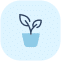 Grows with you