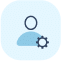 IT & systems managers